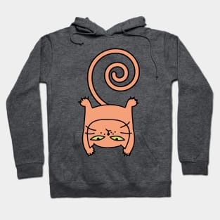  Funny sporty cat Hoodie